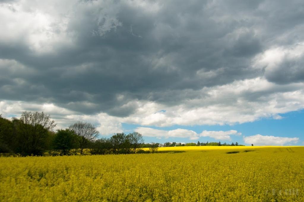 Penzion Na Kopci Vřesina Bagian luar foto